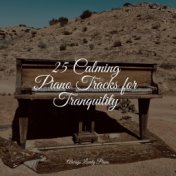25 Calming Piano Tracks for Tranquility