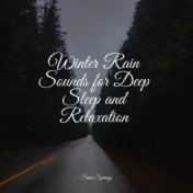 Winter Rain Sounds for Deep Sleep and Relaxation