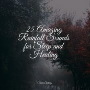 25 Amazing Rainfall Sounds for Sleep and Healing