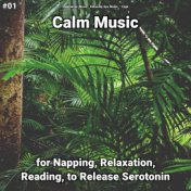 #01 Calm Music for Napping, Relaxation, Reading, to Release Serotonin