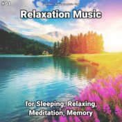 #01 Relaxation Music for Sleeping, Relaxing, Meditation, Memory