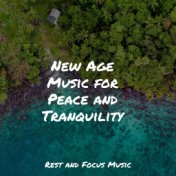 New Age Music for Peace and Tranquility