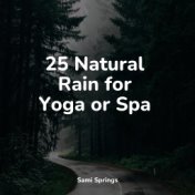 25 Natural Rain for Yoga or Spa