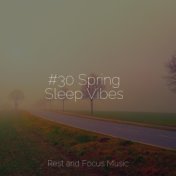 #30 Spring Sleep Vibes