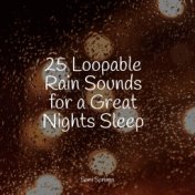 25 Loopable Rain Sounds for a Great Nights Sleep