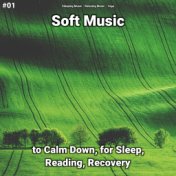 #01 Soft Music to Calm Down, for Sleep, Reading, Recovery