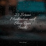 25 Serene Meditation and Sleep Rain Tracks