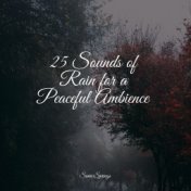 25 Sounds of Rain for a Peaceful Ambience