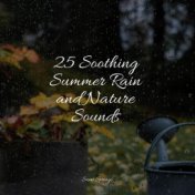 25 Soothing Summer Rain and Nature Sounds