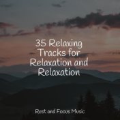 35 Relaxing Tracks for Relaxation and Relaxation