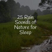 25 Rain Sounds of Nature for Sleep