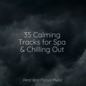 35 Calming Tracks for Spa & Chilling Out