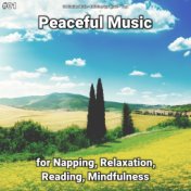 #01 Peaceful Music for Napping, Relaxation, Reading, Mindfulness