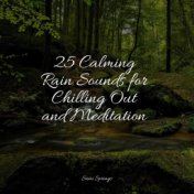 25 Calming Rain Sounds for Chilling Out and Meditation