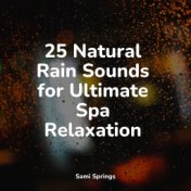 25 Natural Rain Sounds for Ultimate Spa Relaxation