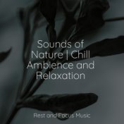 Sounds of Nature | Chill Ambience and Relaxation