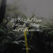 25 Blissful Rain Sounds - Sleep and Relaxation