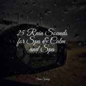 25 Rain Sounds for Spa & Calm and Spa