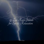 25 Zen Rain Sounds for Spa & Relaxation