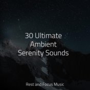 30 Ultimate Ambient Serenity Sounds