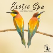 Exotic Spa Body Treatments: Fresh and Healing Tropical Sounds of Nature, Positive Instrumental Vibes, Pure Relaxation