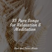 35 Pure Songs for Relaxation & Meditation