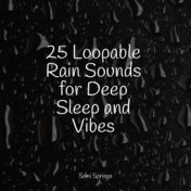 25 Loopable Rain Sounds for Deep Sleep and Vibes