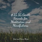 #35 35 Gentle Sounds for Meditation and Mindfulness