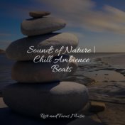 Sounds of Nature | Chill Ambience Beats