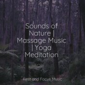 Sounds of Nature | Massage Music | Yoga Meditation