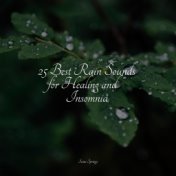 25 Best Rain Sounds for Healing and Insomnia