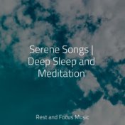 Serene Songs | Deep Sleep and Meditation