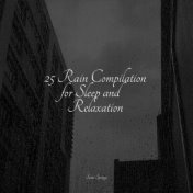 25 Rain Compilation for Sleep and Relaxation