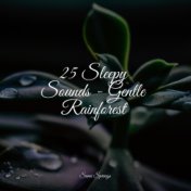 25 Sleepy Sounds - Gentle Rainforest