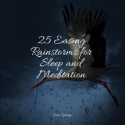 25 Easing Rainstorms for Sleep and Meditation