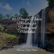 30 Peaceful Nature Melodies for Healing and Meditation