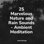 25 Marvelous Nature and Rain Sounds - Ambient Meditation