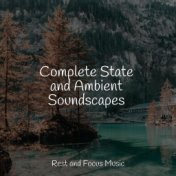 Complete State and Ambient Soundscapes