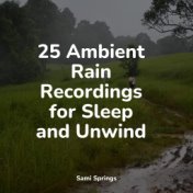 25 Ambient Rain Recordings for Sleep and Unwind