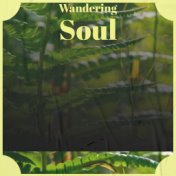 Wandering Soul