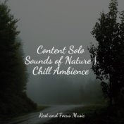 Content Solo Sounds of Nature | Chill Ambience