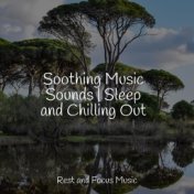 Soothing Music Sounds | Sleep and Chilling Out