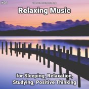 #01 Relaxing Music for Sleeping, Relaxation, Studying, Positive Thinking