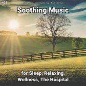 #01 Soothing Music for Sleep, Relaxing, Wellness, The Hospital