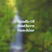 Bundle Of Southern Sunshine