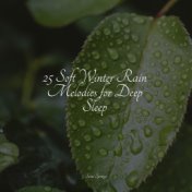 25 Soft Winter Rain Melodies for Deep Sleep