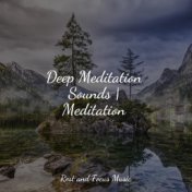 Deep Meditation Sounds | Meditation