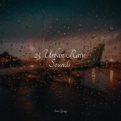 25 Urban Rain Sounds