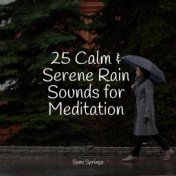25 Calm & Serene Rain Sounds for Meditation