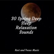 30 Spring Deep Sleep Relaxation Sounds